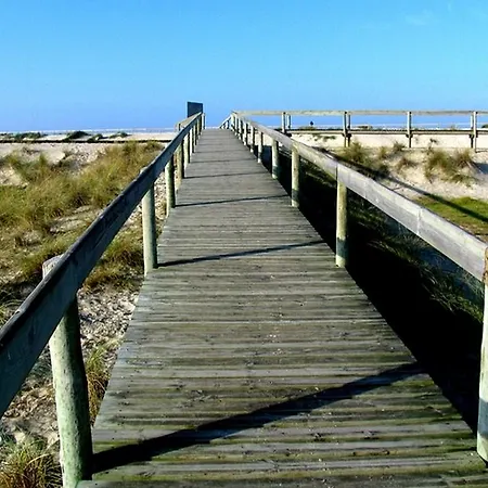 Moliceiro Αβέιρο