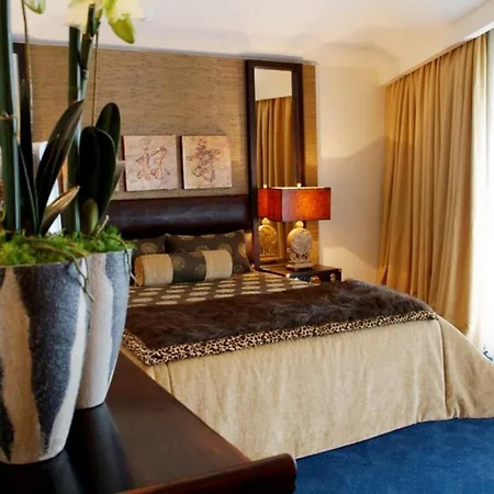 莫利塞罗酒店 酒店 4*